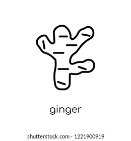 ginger icon. Trendy modern flat linear vector ginger icon on white background from thin line Fruit and vegetables collection, outline vector illustration