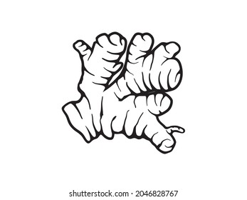 ginger icon vector hand drawing art