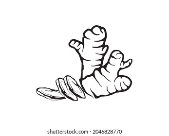 ginger icon vector hand drawing art
