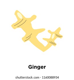 Ginger icon vector isolated on white background, Ginger transparent sign