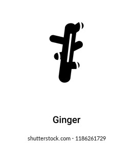 Ginger icon vector isolated on white background, logo concept of Ginger sign on transparent background, filled black symbol