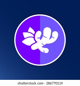 Ginger icon - Vector root health food market closeup.