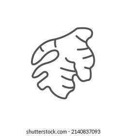 Ginger icons  symbol vector elements for infographic web
