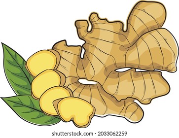 Ginger illustration design for packaging, brochure, leaflet, books, t-shirt and bag.