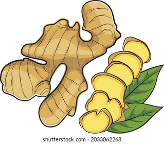 Ginger illustration design for packaging, brochure, leaflet, books, t-shirt and bag.