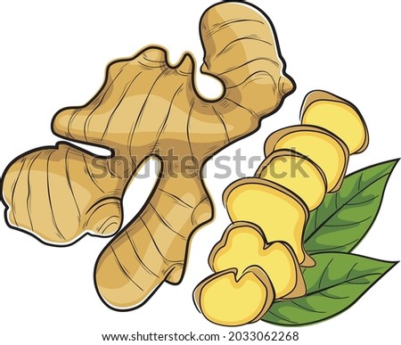 Ginger illustration design for packaging, brochure, leaflet, books, t-shirt and bag.