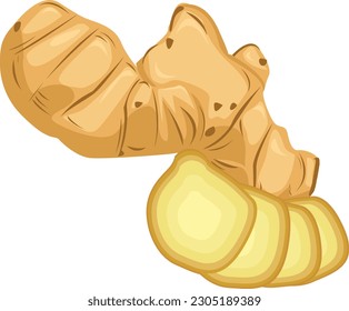 Ginger Illustration, Ginger Vector Art, Ginger Vegetable Art