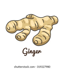 Ginger. Isolated with the inscription