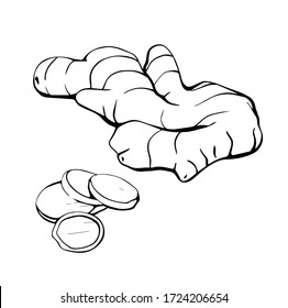 Ginger isolated on a white background. Ginger root drawn by hand. Products for raising the immune system. Healthy diet. Vector illustration in the Doodle style.