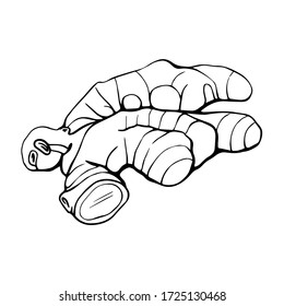 Ginger isolated on a white background. Ginger root drawn by hand. Products for raising the immune system. Healthy diet.Hand drawn vector illustration in Doodle style