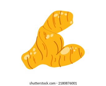 Ginger isolated on white background. Vector illustration. 