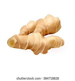 Ginger Isolated On The White Background. Vector Illustration