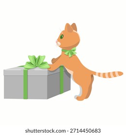 Ginger kitten with a box isolated on white background.