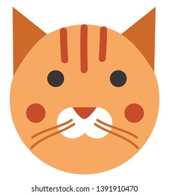 Ginger kitty cat vector illustration 