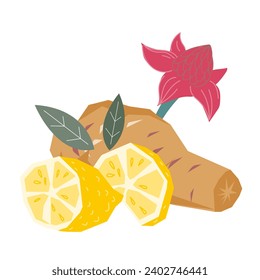 Ginger with lemon flavor mix and ingredients for hot drinks or baking. Icon or symbol of ginger with lemon for hot tea drinks and cooking, hand drawn vector illustration isolated on white background.