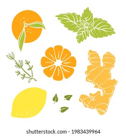 Ginger, lemon, mandarin, thyme and mint top view. Colorful paper cut collection of fruits and berries isolated on white background. Doodle hand drawn fruits. Vector illustration