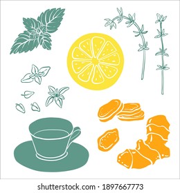 Ingwer, Zitrone, Minze, Thyme, Teetasse. Farbige Skizzensammlung von Kräuter und Gewürzen einzeln auf weißem Hintergrund. Doodle handgezeichnet gesunde Lebensmittel Symbole. Vektorgrafik