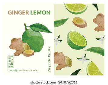 Ginger and Lemon packaging design templates, watercolour style vector illustration.