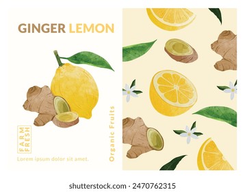 Ginger and Lemon packaging design templates, watercolour style vector illustration.