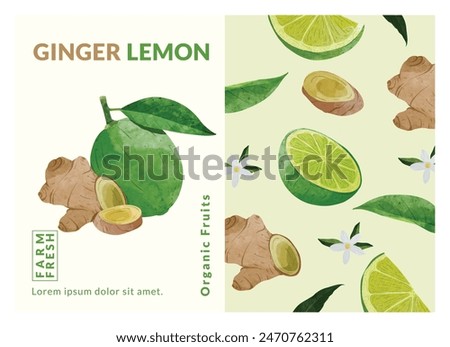 Ginger and Lemon packaging design templates, watercolour style vector illustration.