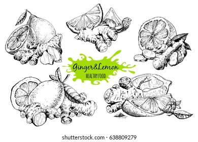 Ginger and lemon in sketch style. Hand drawn graphic ink collection