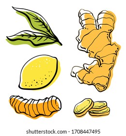 Ginger, lemon, turmeric. Roots and slices. Colorful sketch collection of herbs and spices isolated on white background. Doodle hand drawn healthy food icons. Vector illustration