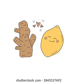 Ginger and lemon vector hand drawn illustration. Cute ginger root with lemon citrus fruit, lovely combination. Winter, cold, immunity tea ingredients. Isolated.