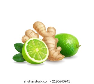 Ginger and lime. Root, green leaf and citrus fruit realistic. Tea or lemonade ingredient, alternative medicine, flu treatment.