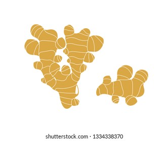 Ginger logo. Isolated ginger on white background