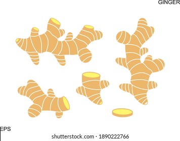 Ginger logo. Isolated ginger on white background