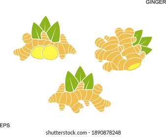 Ginger logo. Isolated ginger on white background