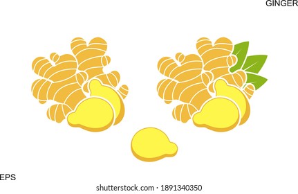 Ginger Logo. Isolated Ginger On White Background