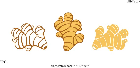 Ginger logo. Isolated ginger on white background