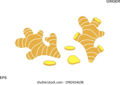 Ginger logo. Isolated ginger on white background