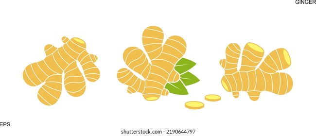 Ginger logo. Isolated ginger on white background