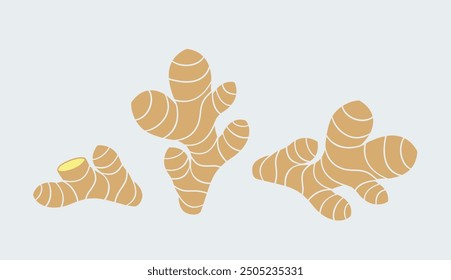 Ginger logo. Isolated ginger on white background