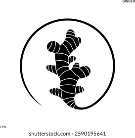 Ginger logo. Isolated ginger on white background