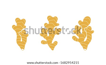 Ginger logo. Isolated ginger on white background