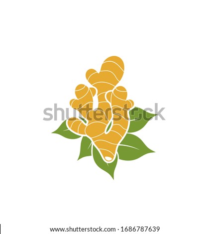 Ginger logo. Isolated ginger on white background