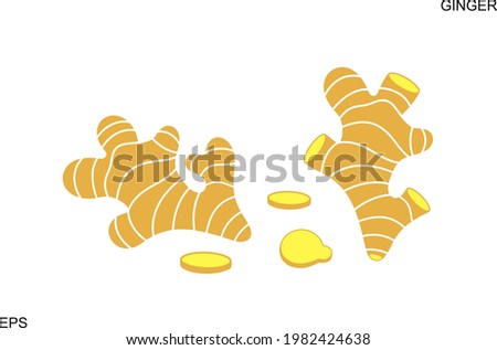 Ginger logo. Isolated ginger on white background Stock photo © 