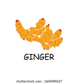 ginger logo, ginger root  logo template - Vector