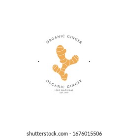 Ginger. Logo template. Isolated ginger root on white background