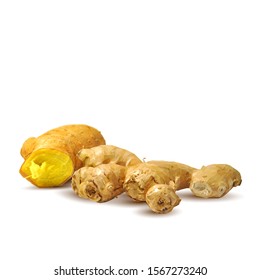 Ginger low poly. Spicy, fragrant and tasty ginger. Symbols of spice. Elements for design. Vector illustration. Ginger in triangulation technique.