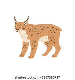 Ginger Lynx motley fluffy wild cat. North America animals. Big wild cat stands on four paws isolated on white background. Predatory rare mammal. Cartoon vector illustration.