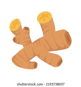 ginger natural icon isolated flat