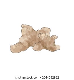 Ginger. On a white background.