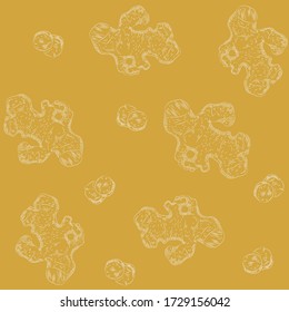 Ginger outline art vector illustration Background