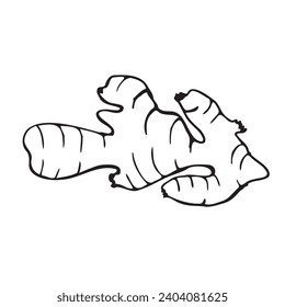 Ginger outline. Freehand black line drawing. Vector minimalistic illustration