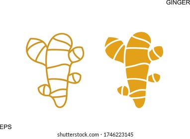 Ginger outline. Isolated ginger on white background