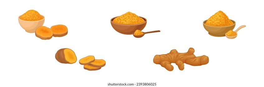 Ginger Plant with Root as Aromatic Spice Vector Set